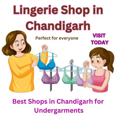 ladies undergarment shop in chandigarh