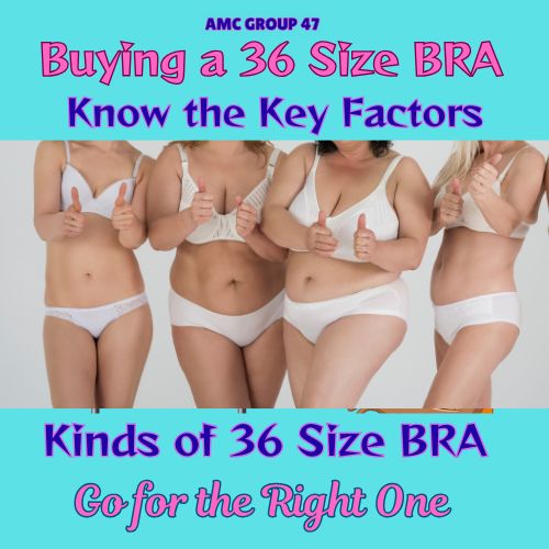 36 bra size